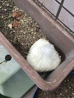 おにぎり (2).jpg