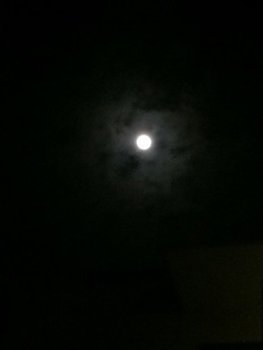 ウルトラスーパームーン 明石 大久保 (2).jpg