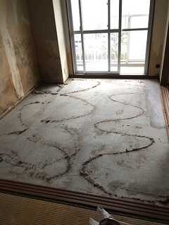 カーペット剥がし (1).jpg