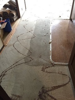 カーペット剥がし (3).jpg