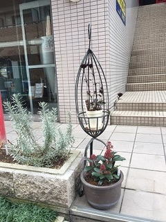 ガーデニング (6).jpg