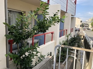 モンテメール学園前 (1).jpg