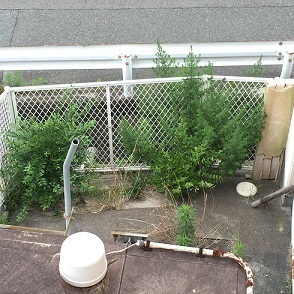 写真 2016-06-28 16 14 38.jpg