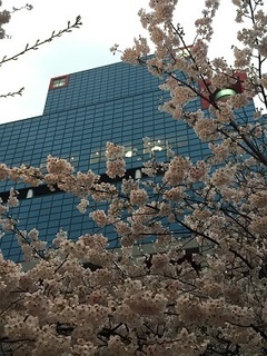 写真 2017-04-08 18 11 02.jpg