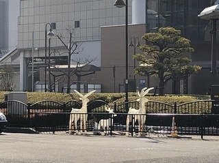 写真 2018-01-20 11 40 40.jpg