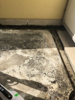 写真 2018-02-11 10 50 09.jpg
