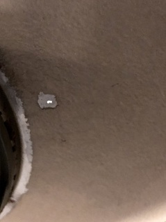 写真 2018-04-03 9 35 14.jpg