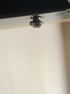 写真 2018-09-21 10 41 07.jpg