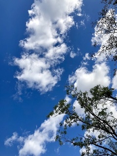 写真 2018-10-20 13 46 18.jpg