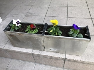写真 2018-11-26 11 21 56.jpg