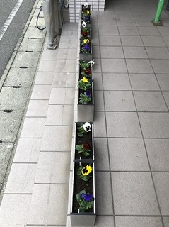 写真 2018-11-26 12 07 43.jpg