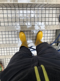 写真 2019-02-06 10 40 11.jpg