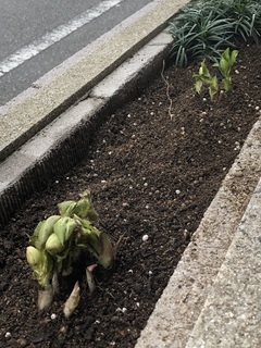写真 2019-02-07 15 36 57.jpg