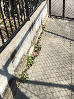 写真 2019-03-05 10 03 57.jpg
