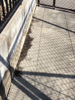 写真 2019-03-05 10 17 56.jpg