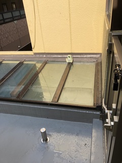 写真 2019-03-12 9 52 21.jpg