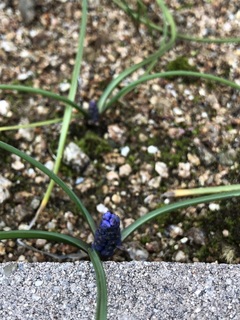写真 2019-03-19 15 45 57.jpg