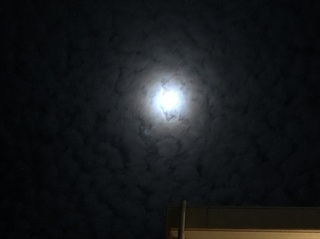 明石市 夜空 (2).jpg