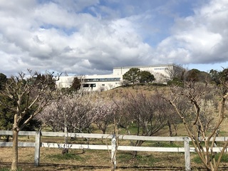 石ヶ谷公園 (2).jpg