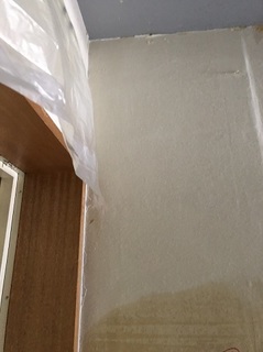 裏紙剥がし (3).jpg