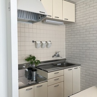 GS 308 (6).jpg