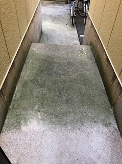before (1).jpg