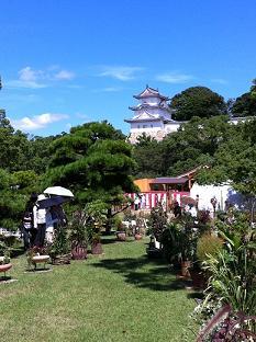 明石公園 3.jpg