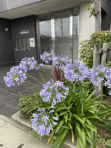 IMG_7480.jpg