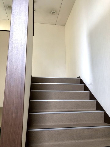 before (2).JPG